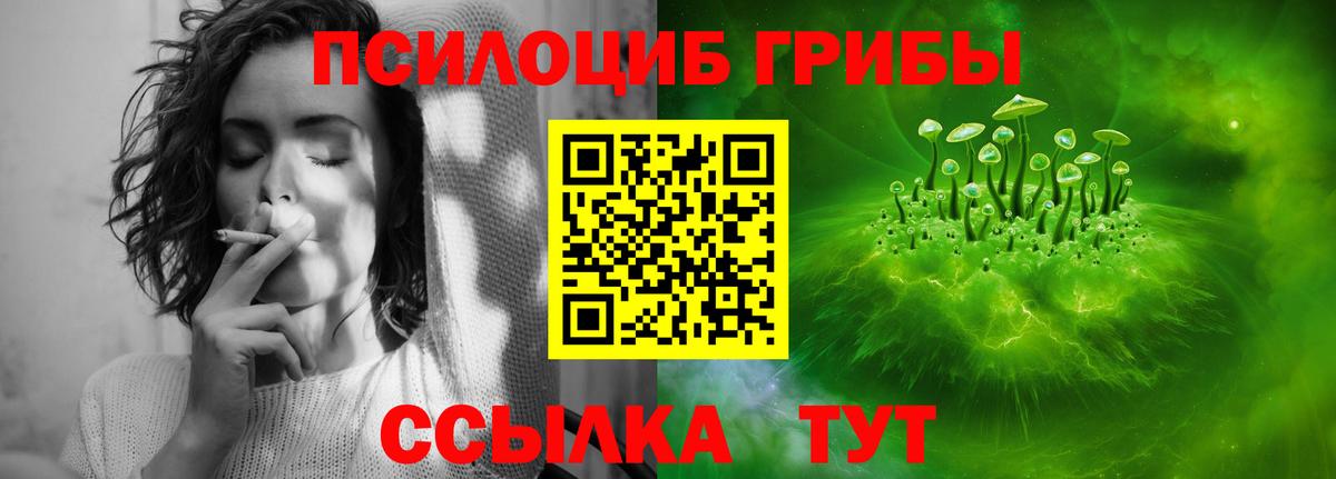 Кунгур  Псилоцибиновые грибы Cubensis  Псилоцибиновые грибы мицелий  Вход с VPN 